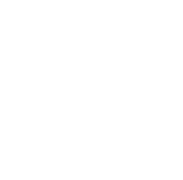 Figura de un Acordeon